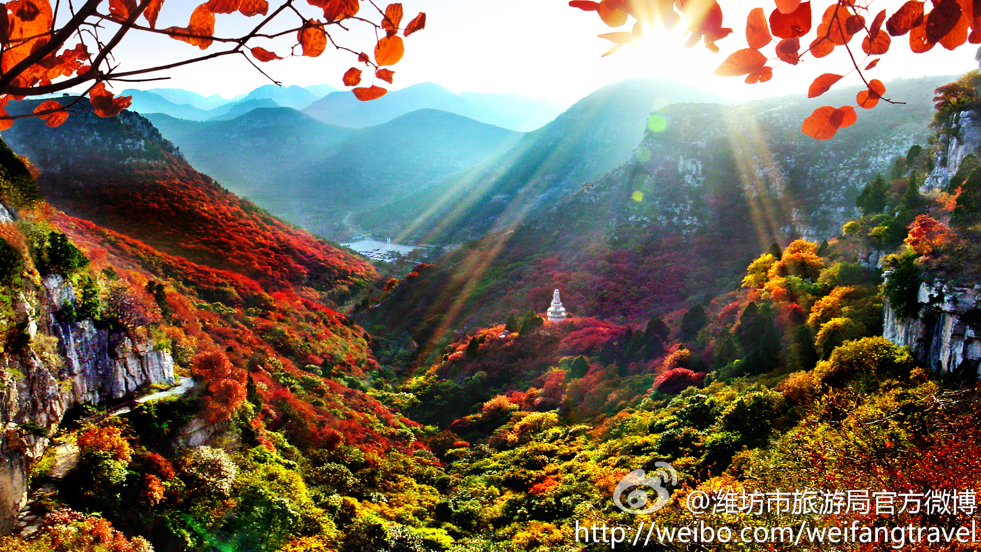 潍坊微博客户端新浪客户端官方下载-第2张图片-太平洋在线下载