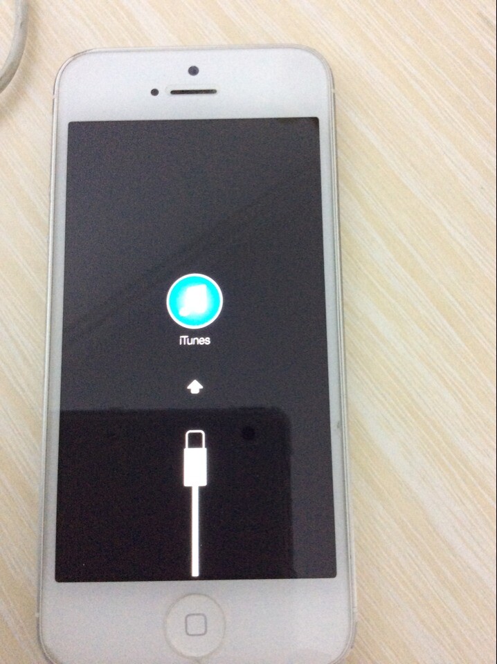 苹果手机itunes电脑版官方下载的简单介绍